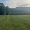 aiacaboni